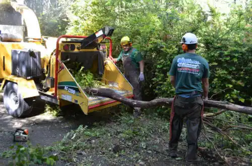 tree services Boulder Hill